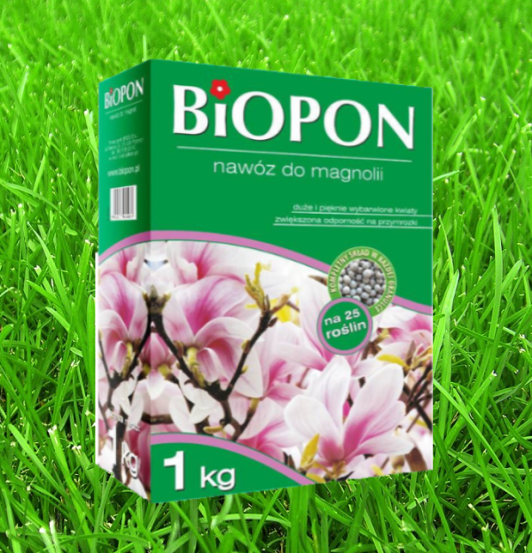 Gnojivo Za Magnolije Drijen