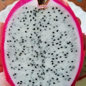 Pitaja - zmajevo voće
