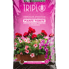 Supstrat za ljetnice