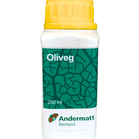 Oliveg