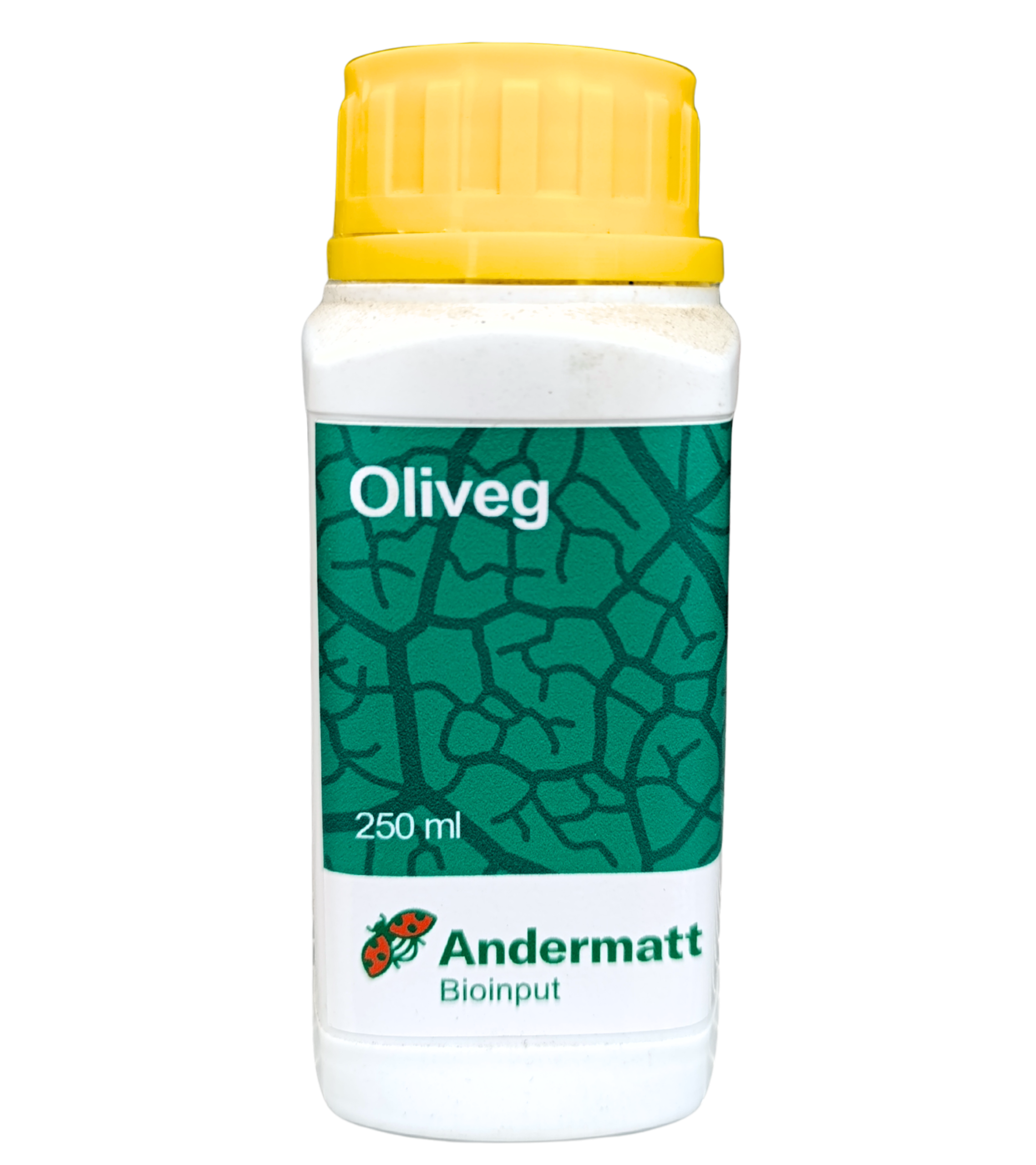 Oliveg