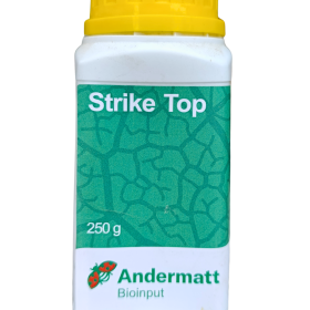 Strike Top