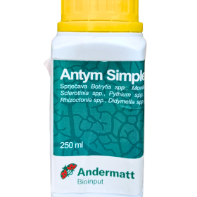 Antym Simplex