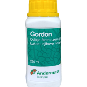 Gordon