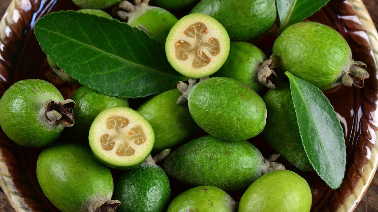 Feijoa 'Unique' - Slika 3