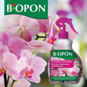Sprej za nego orhidej
