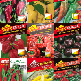 Sjeme - feferoni i čili