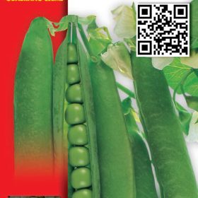 GG gramatura - grah i grašak