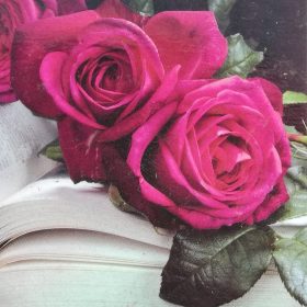 Ruža 'J.W.V. Goethe'