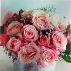 Ruža 'Rosenfaszination'