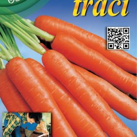 Sjeme na traci