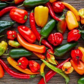 Sjeme paprika, feferona, čilia, patliđana