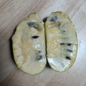 indijanska banana al horn