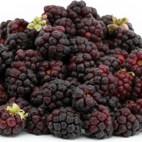 boysenberry plodovi