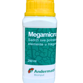 Megamicro