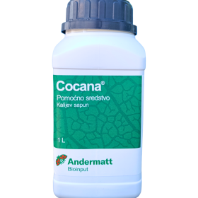 Cocana