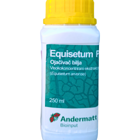 Equisetum Plus