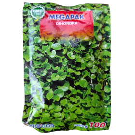 Dichondra